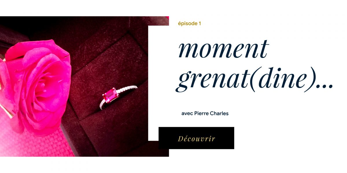 E1 : MOMENT GRENAT (DINE)… avec Pierre Charles E1 : MOMENT GRENAT (DINE)… avec Pierre Charles